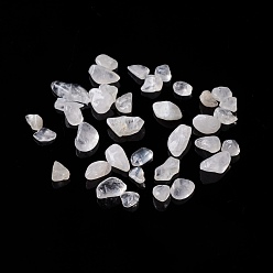 Cristal de cuarzo Chips de cuarzo natural de cristal cuentas, cuentas de cristal de roca, ningún agujero, 5~10.5x5~7x2~4 mm, Sobre 3000 unidades / 1000 g