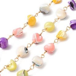 Mixed Color Handmade Shell Pearl Chip Beaded Chains, with Golden Tone Brass Findings, with Spool, Cadmium Free & Lead Free, Mixed Color, 14~15x6~8x6~7.5mm
