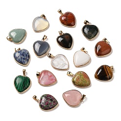 Mixed Stone Natural & Synthetic Mixed Stone Pendants, Heart Charms, with Golden Tone Iron and Brass Findings, 29x24~24.5x6~6.5mm, Hole: 7~7.3x3.8~4.3mm