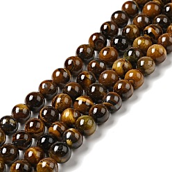 Tiger Eye Natural Tiger Eye Beads Strands, Round, Grade AB+, 6mm, Hole: 1mm, about 60pcs/strand
