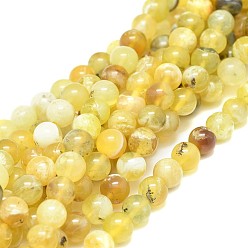 Opale Jaune Jaunes naturelles perles d'opale brins, ronde, classe ab, 8mm, Trou: 0.8mm, Environ 50 pcs/chapelet, 15.55 pouce (39.5 cm)