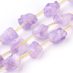Amethyst Natural Amethyst Beads Strands, Nuggets, 10~15x8~11mm, Hole: 1mm, about 22pcs/strand, 15.5 inch(39.5cm)