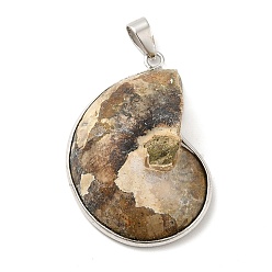 Dark Khaki Snail Fossil Pendants, with Brass Pendant Settings, Platinum, Dark Khaki, 35~50x25~35x8mm, Hole: 4x6mm