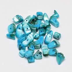 Light Sky Blue Dyed Natural Freshwater Shell Chips Beads, Shell Shards, Light Sky Blue, 7~11x5~8mm, Hole: 1mm, about 980pcs/500g