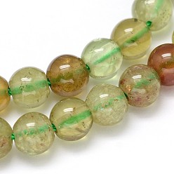 Garnet Natural Green Garnet Round Bead Strands, Andradite Beads, 4mm, Hole: 1mm, about 103pcs/strand, 16 inch