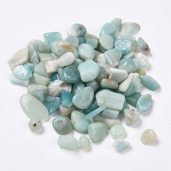 Flower Amazonite Natural Flower Amazonite Beads, Undrilled/No Hole, Chips, 7~21x6~8x3~6mm, about 100g/bag