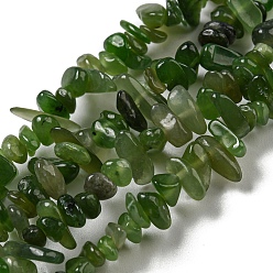 Otro Jade Granos naturales del jade hebras, chip, 1.5~5x3~13x2~8 mm, agujero: 0.6 mm, 30.94~31.97'' (78.6~81.2 cm)