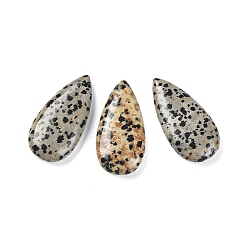 Dalmatian Jasper Natural Dalmatian Jasper Pendants, Teardrop Charms, 40x20x8mm, Hole: 1.2mm