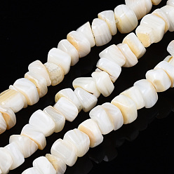 Coquillage De Mer Eau douce naturelle de coquillage perles brins, chips de pépites, couleur de coquillage, 5~8x5~7x2~5mm, Trou: 0.5mm, Environ 50~53 pcs/chapelet, 7.28 pouce (18.5 cm)