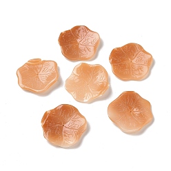 Tomato Natural Shell Beads, Lotus Leaf, Tomato, 25.5x26x3mm, Hole: 1.2mm