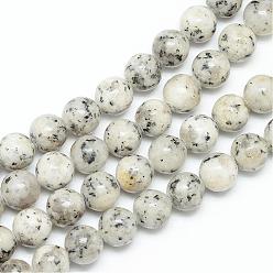 Blanc Fumé Jaspe de sésame naturel / brins de perles de jaspe kiwi, ronde, fumée blanche, 6mm, Trou: 1mm, Environ 64~66 pcs/chapelet, 15.08~15.35 pouce (38.3~39 cm)