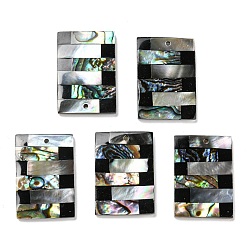 Colorful Natural Freshwater Shell & Black Lip Shell & Paua Shell & Natural White Shell Pendants, Rectangle Charms, Colorful, 29.5x20.5x3.5mm, Hole: 1.4mm
