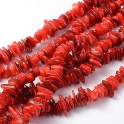 Rouge Chapelets de perles de coquillage naturel, teint, puces, rouge, 6~15x3~7x1~3mm, Trou: 1mm