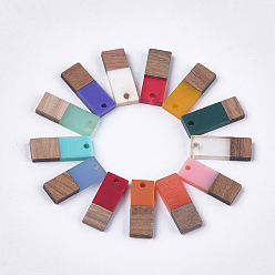 Mixed Color Resin & Walnut Wood Pendants, Rectangle, Mixed Color, 22.5~23x8.5~9x3.5mm, Hole: 2mm