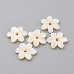 Blanc Floral Perles de coquillages naturels d'eau douce, fleur, floral blanc, 16x18x3mm, Trou: 2mm