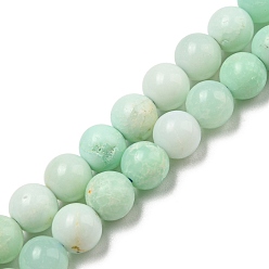 Chrysoprase Brins de perles de chrysoprase naturelles de qualité, ronde, 6mm, Trou: 0.8mm, Environ 65 pcs/chapelet, 15.43'' (39.2 cm)