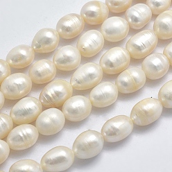 Beige Natural Cultured Freshwater Pearl Beads Strands, Oval, Beige, 10~14x9~10mm, Hole: 0.8mm, about 34pcs/strand, 13.8 inch(35cm)