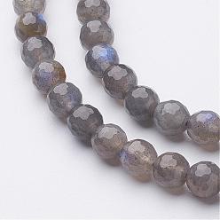 Labradorite Natural Labradorite Bead Strands, Faceted(128 Facets), Round, 6mm, Hole: 0.5mm, about 62pcs/strand, 15.1 inch(385mm)