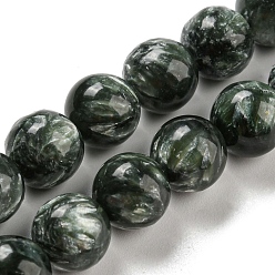 Seraphinite Natural Seraphinite Beads Strands, Round, Grade AB, 9.5~10mm, Hole: 1mm, about 38pcs/strand, 15.43 inch(39.2cm).