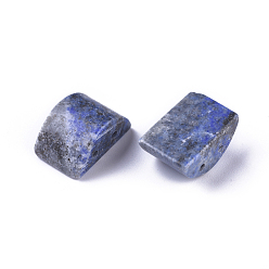 Lapis Lazuli Mailles naturelles en lapis-lazuli, arc, 14.5~15x9~10.5x6.5~7.5mm, Trou: 1~1.2mm