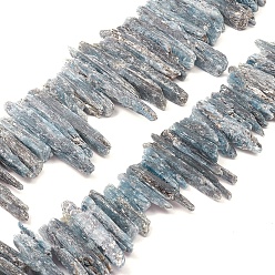 Cyanite Brins de cyanite naturelle / cyanite / perles de disthène, nuggets, forme croc, 20~41x2~8x4~12mm, Trou: 0.5mm, Environ 77 pcs/chapelet, 15.35 pouce (39 cm)
