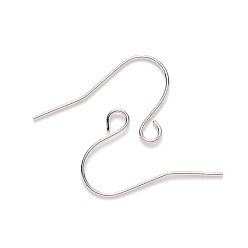 Stainless Steel Color 304 Stainless Steel Earring Hooks, Ear Wire, with Horizontal Loop, Stainless Steel Color, 13x22mm, Hole: 2mm, 21 Gauge, Pin: 0.7mm