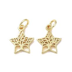 Real 18K Gold Plated Rack Plating Brass Charms, with Jump Ring, Lead Free & Cadmium Free, Hollow, Star with Tree of Life Charm, Real 18K Gold Plated, 12.5x10.5x1.5mm, Hole: 3mm