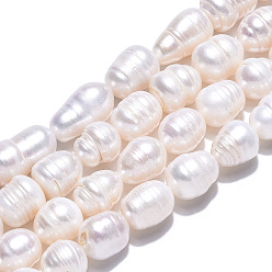 Seashell Color Natural Cultured Freshwater Pearl Beads Strands, Rice, Seashell Color, 10.5~18.5x9~11mm, Hole: 0.6mm, about 22~31 pcs/strand, 13.70~14.13 inch(34.8~35.9cm)
