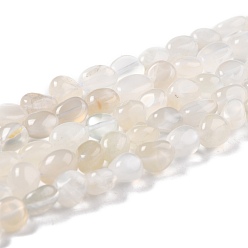 White Moonstone Naturelles perles pierre de lune blanc brins, nuggets, pierre tombée, 8~11x7.5~9x4.5~7mm, Trou: 0.8mm, Environ 42 pcs/chapelet, 15.94'' (40.5 cm)