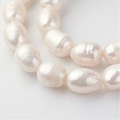 Coquillage De Mer Brins de perles de culture d'eau douce naturelles, ovale, couleur de coquillage, 11~15x10~11mm, Trou: 0.8mm, Environ 27 pcs/chapelet, 13.7 pouce