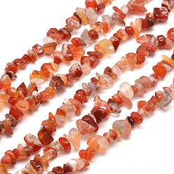 Natural Agate Natural South Red Agate Chips Bead Strands, 5~8x5~8mm, Hole: 1mm, about 31.5 inch