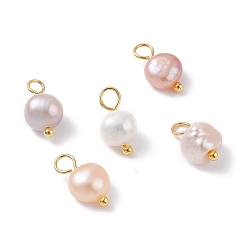 Seashell Color Natural Cultured Freshwater Pearl Charms, with Golden Brass Ball Head pins, Oval, Seashell Color, 10~12x5.5~7x4.5~6mm, Hole: 2.4~2.7mm