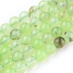 Prehnite Natural Prehnite Beads Strands, Round, 6.5~7mm, Hole: 1mm, about 62pcs/strand, 15.3~15.5 inch(39~39.5)