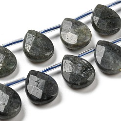 Labradorite Natural Labradorite Beads Strands, Top Drilled Beads, Faceted, Teardrop, Black, 18x13x5mm, Hole: 1mm, 22pcs/strand, 15.6 inch(39.5cm)