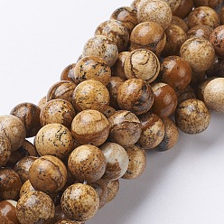 Jaspe Image Brins de perles pierres fines naturelles , jaspe, ronde, 10mm, Trou: 1mm, Environ 37~39 pcs/chapelet, 15.5 pouce