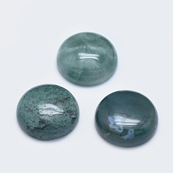 Moss Agate Natural Moss Agate Cabochons, Half Round, 19.5~20x6~7mm