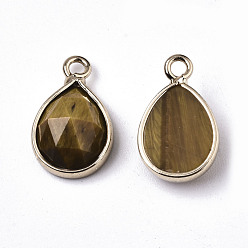 Tiger Eye Natural Tiger Eye Charms, with Light Gold Plated Brass Edge and Loop, Teardrop, Faceted, 14x9x4.5mm, Hole: 1.5mm