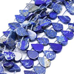 Lapis Lazuli Lapis-lazuli, brins de perles naturels , larme, 12~20x5~15x3~7mm, Trou: 0.8mm, Environ 24 pcs/chapelet, 15.04'' (38.2 cm)