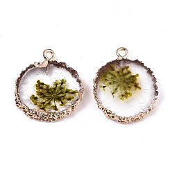 Olive Transparent Clear Epoxy Resin & Dried Flower Pendants, with Edge Light Gold Plated Iron Loops, Flat Round, Olive, 25~26x20~21x4.5mm, Hole: 1.8mm