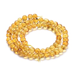 Amber Natural Amber Beads Strands, Round, 6~7mm, Hole: 0.6mm, about 66pcs/Strand, 15.75 inch(40cm)