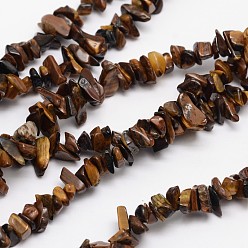 Tiger Eye Chips Natural Tiger Eye Beads Strands, 3~8x3~12x3~5mm, Hole: 1mm, about 32 inch