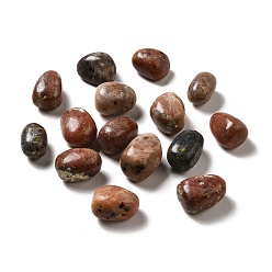 Sésamo del Jaspe Perlas de jaspe de sésamo naturales, piedra caída, gemas de relleno de jarrones, sin agujero / sin perforar, pepitas, 17~30x15~27x8~22 mm