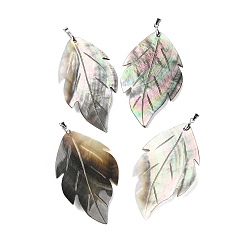 Black Lip Shell Natural Black Lip Shell Big Pendants, Leaf Charms with Platinum Plated Brass Pinch Bails, 65.5~67x41x3~3.5mm, Hole: 4.5x3.5mm