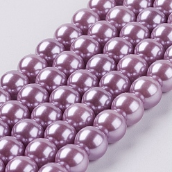 Фиолетовый Круглые бусины из экологически чистого окрашенного стекла с жемчугом, класс А, хлопковый шнур , фиолетовые, 8 мм, отверстие : 0.7~1.1 мм, около 52 шт / нитка, 15 дюйм