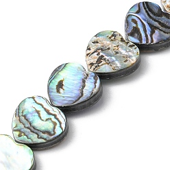 Coquille Paua Naturelles Paua brins de perles, cœur, 12~13.5x12.5x3mm, Trou: 0.5mm, Environ 33 pcs/chapelet, 14.96 pouce (38 cm)