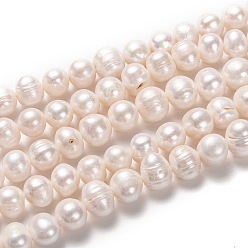 Bisque Natural Cultured Freshwater Pearl Beads Strands, Potato, Bisque, 11~13x12~17mm, Hole: 0.8mm, about 35pcs/strand, 15.35 inch(39cm)
