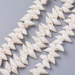 Blanco Cuentas de concha de caracol naturales hebras, blanco, 18~22x8~12x8~9 mm, agujero: 1 mm, 15.75 pulgada (40 cm)