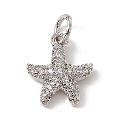Platinum Brass Micro Pave Cubic Zirconia Charms, with Jump Rings, Starfish Charms, Platinum, 13.5x10.5x2mm, Hole: 3.4mm