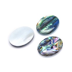 Coloré Shell paua cabochons ovales, colorées, 24.5~25x19~19.5x3.5~4mm
