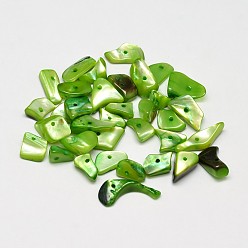 Verde Lima Pepitas de concha natural teñidas chips cuentas, verde lima, 11~16x6~9 mm, agujero: 1 mm, Sobre 980 unidades / 500 g